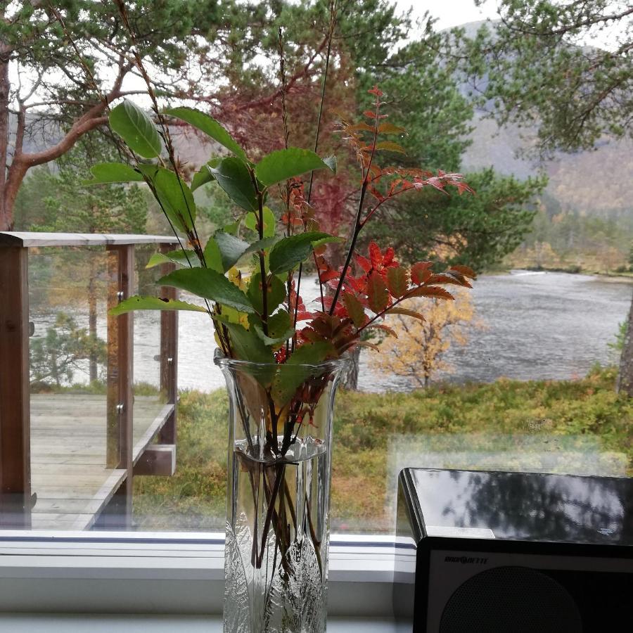 Viksdalen Hytte Ved Gaularfjellet מראה חיצוני תמונה